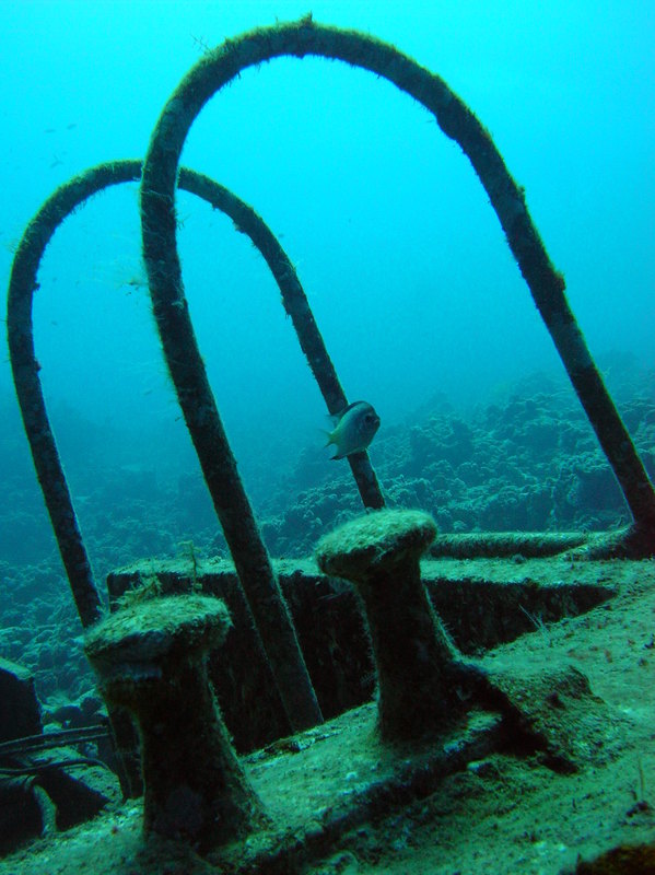 red sea_038.jpg